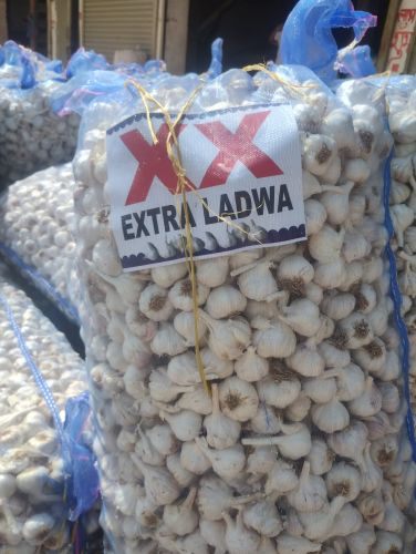 A Quality Garlic 50mm, Grade : Food Grade for Cooking