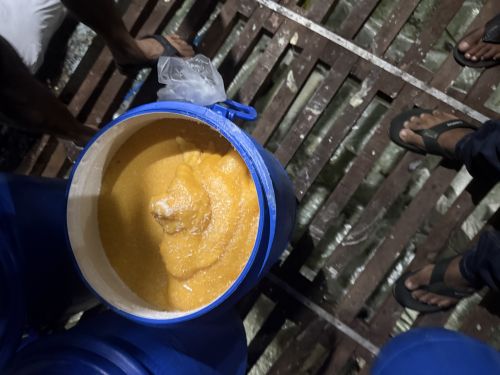 Cow Colostrum Milk 1-2-3 Miliking, Color : Yellow, Form : Liquid