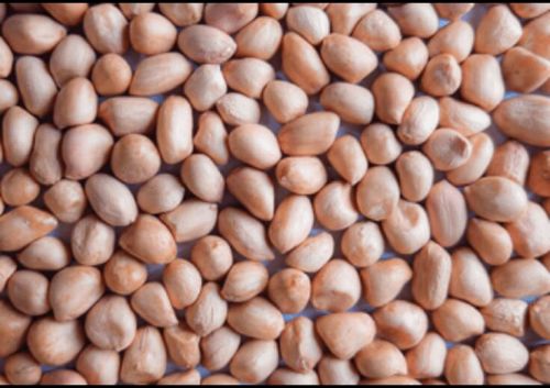Seeds Raw Peanut Kernel, Shell Type : Without Shell
