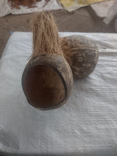 Polished Coco Shell, Color : Brown for Decoration