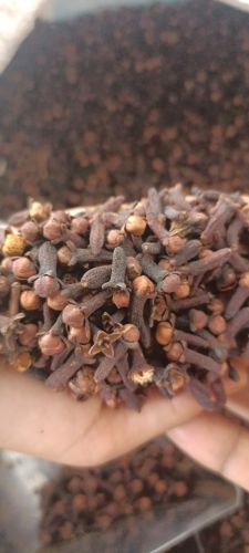 Brown Clove, Packaging Type : Sealed Container