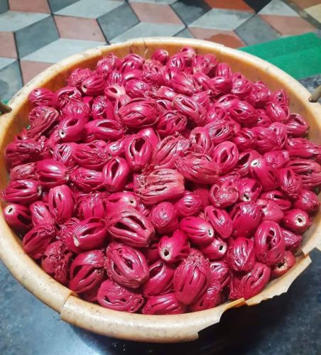 Organic Nutmeg, Color : Red, Form : Seed
