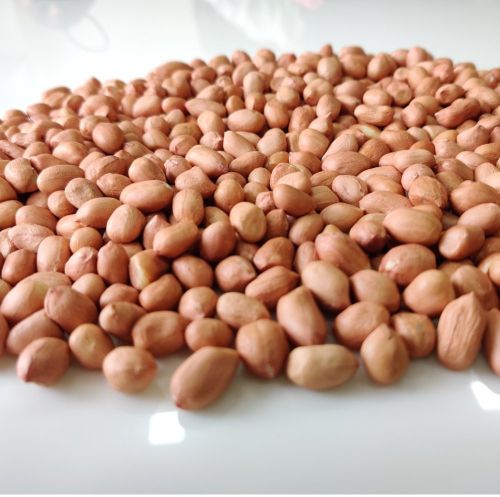 Kernels Whole Groundnut Peanut WITH Shells, Variety : Bold
