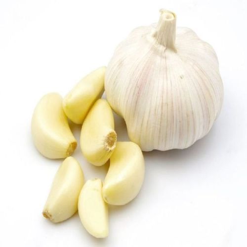 Fresh Garlic, Color : White for Cooking