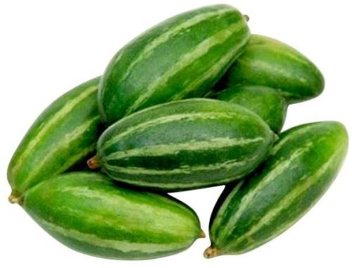 Green Fresh Pointed Gourd, Cultivation Type : Organic for Cooking