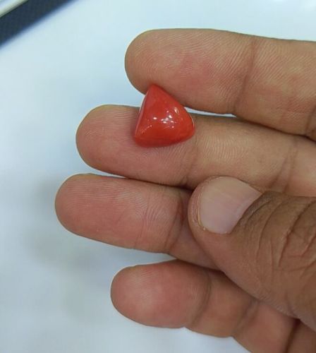 Polished Natural Coral, Color : Red Contemporary for Jewellery