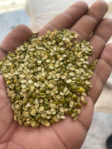 Green Organic Sabut Masoor Dal, Packaging Type : Bag, Packet