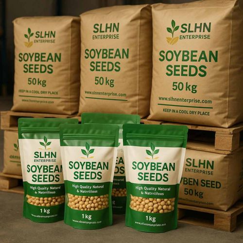 A Grade Premium Soybean Seed, Color : Yellow