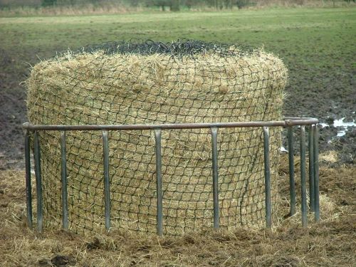 Cattle Hay Animal Feed, Packaging Type : Compressed Bales & Pellets
