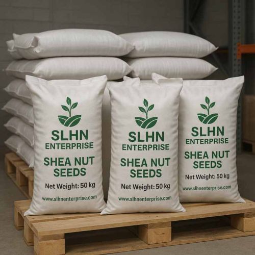 Whole Dried Kernels Shea Nut Seed