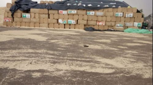 Natural Ecoharvest Wheat Straw Bales, Color : Brown-Yellow