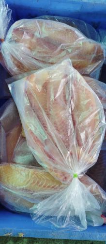 Basa Fillet, Color : Silver Frozen, Certification : FDA Certified