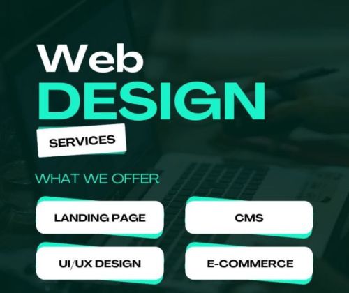 Website Design and Development, Platform : Shopify