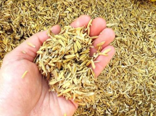 Brown Rice Husk, Packaging Size : 50 Kg, 100 Kg, Moisture : 4-6%