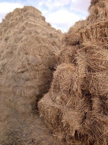 Rice Straw, Packaging Type : HDPE Bag, Grade Standard : Feed Grade