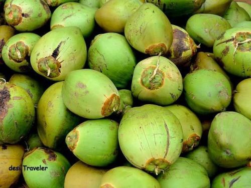 Green Tender Coconut, Container Size : 20 Feet