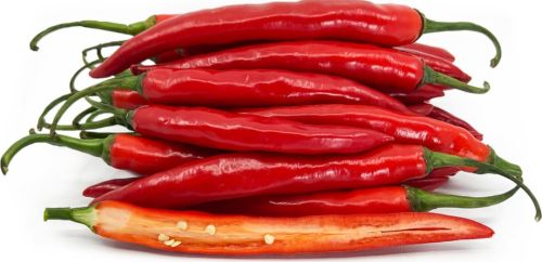 Fresh Red Chilli, Packaging Type : Loose for Cooking