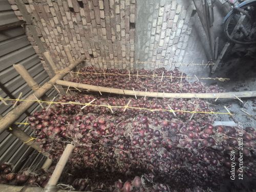 Red Onion, Packaging Size : 5kg Gunny Bag For Cooking, Restaurant