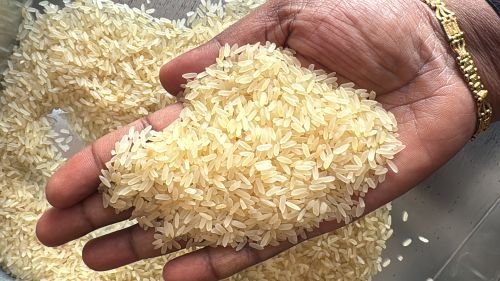 Organic Long Grain Parboiled Rice, Packaging Type : Jute Bag