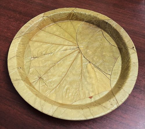 Sal Leaf Tiffin Plate 10 Inch, Color : Natural for Food Serving