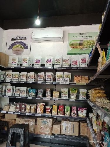 Organic Little Millet, Seed Type : Hybrid, Grade : Feed Grade