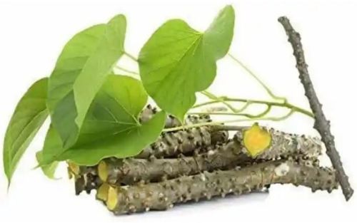 Giloy Roots, Packaging Type : Packet for Diarrhoea, Starch Obtained