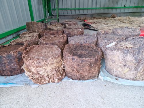 Nature Banana Stem Pulp Cube Or Strip Form