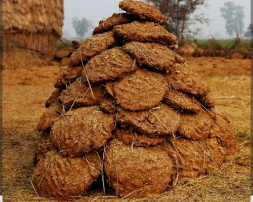 Cow Dung Cake, Color : Brown