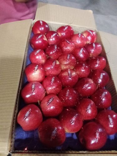 Natural Fresh Red Apple, Packaging Size : 10Kg, 15Kg