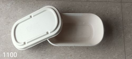Bagasse Container, Color : White for Food Storage