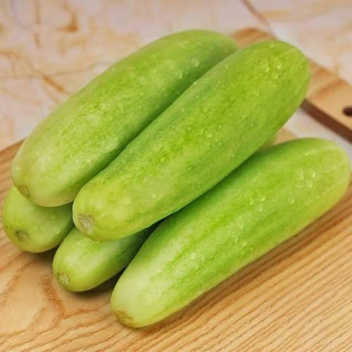 Green Cucumber, Cultivation Type : Natural for Cooking, Food