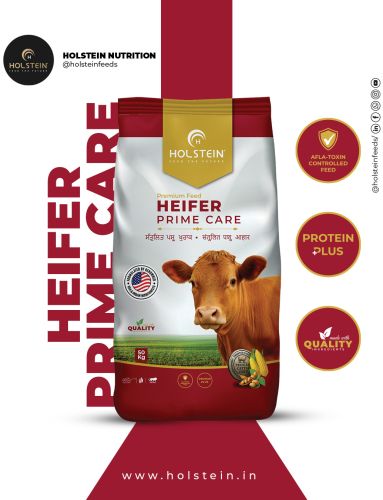 Holstein Heifer Prime Care Cattle Feed, Grade Standard : Premium
