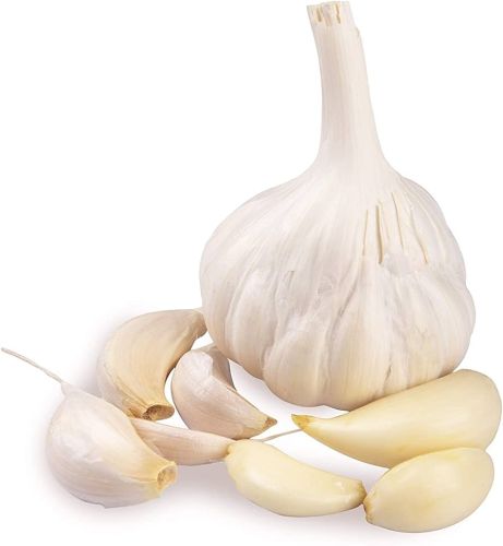 Garlic, Color : Creamy, Form : Solid for cooking
