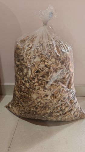 Red Natural Dry Oyster Mushroom
