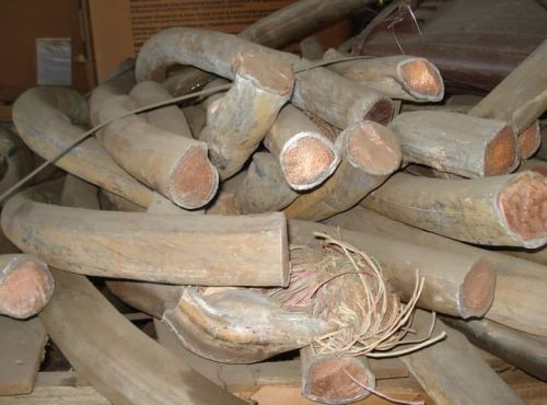 Copper Cable Scrap, Color : Brown, Brand Name : Used