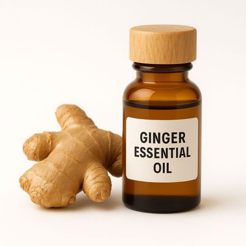 Ginger Essential Oil, Color : Pale Yellow 10ml