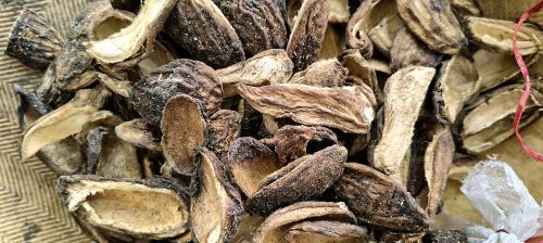 Dried Mangoes for Cooking, Shelf Life : 6-12 Months