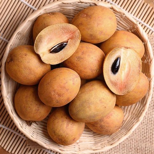 Brown Organic Fresh Sapodilla for Human Consumption