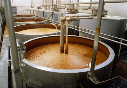 Sugar Cane Molasses, Color : Brown, Form : Liquid, Taste : Sweet