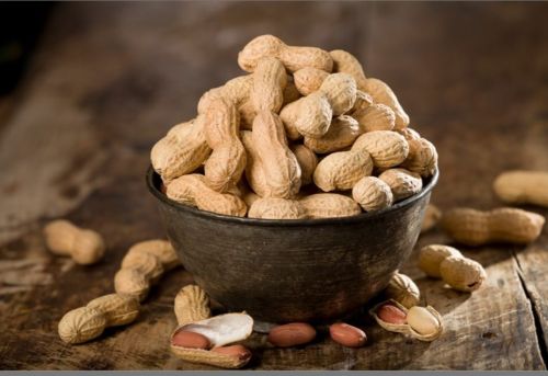 Peanut, Color : Brown, Packaging Type : Bulk