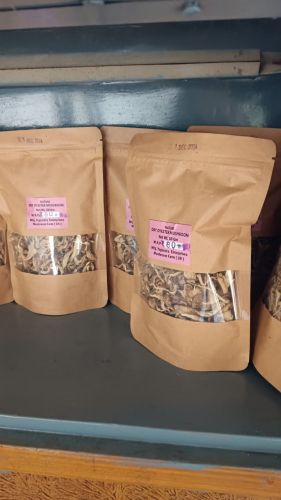 Dry Oyster Mushroom, Packaging Size : 500g, 1Kg Loose