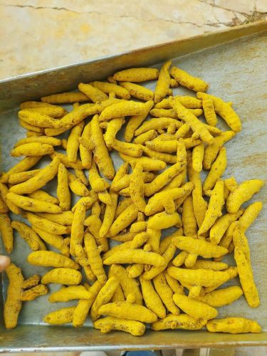 Yellow Fresh Turmeric, Packaging Size : 100g, 250g, 500g