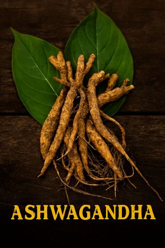 Roots Ashwagandha Dried, Grade : Natural, Form : Seed