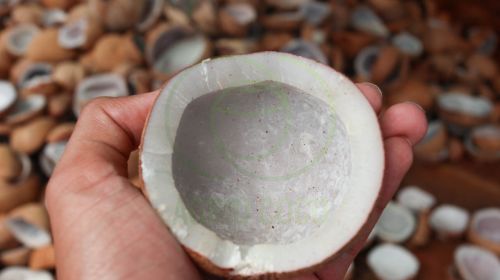 Copra, Color : Black & Dark Brown for Cooking, Food Medicine