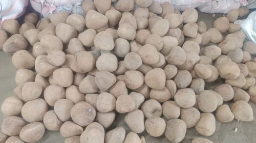 Hard Whole Copra, Grade Standard : Food Grade, Taste : Light Sweet