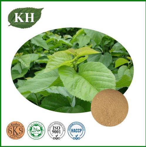 Mulberry Leaf Extract, Brand Name : Kingherbs