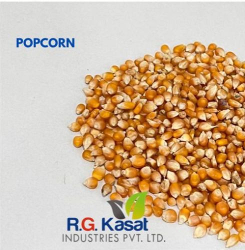 Popcorn Maize, Packaging Size : 50gm