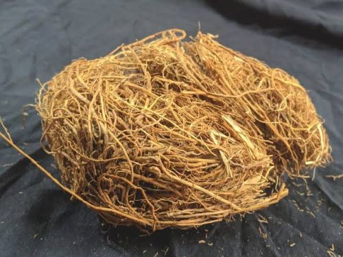 Vetiver Root Dried, Packaging Size : 0-25 Kg