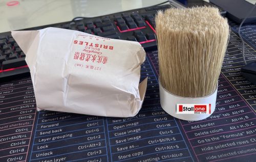 Natural Boar Pig Hog Bristle Hair Brushes