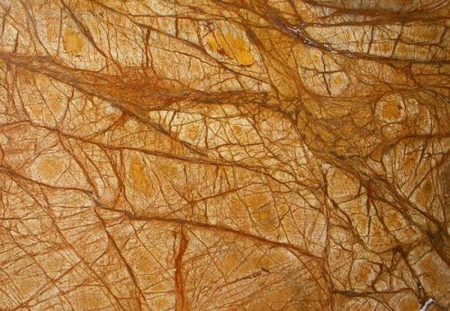 Rain Forest Golden Marble, Thickness : 15mm, 20mm, 30mm